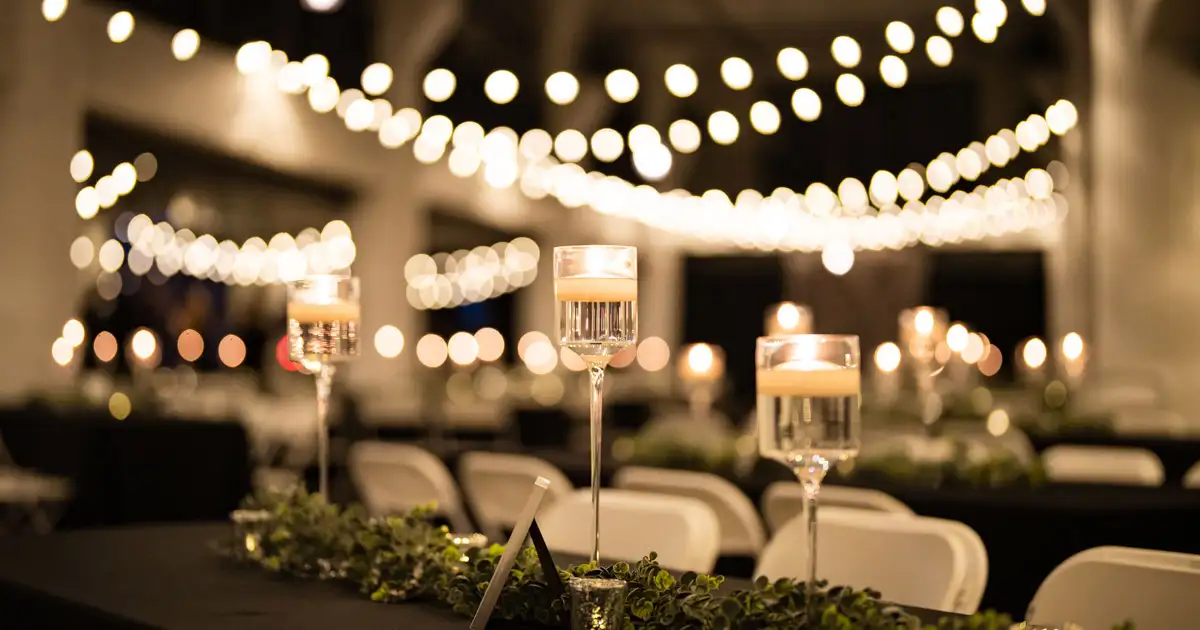 Colorful decorative lighting installed in trees creating vibrant outdoor event lighting experience