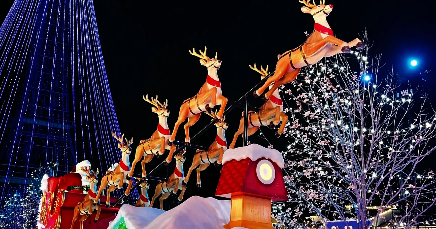 Festive Santa sleigh and reindeer light installation with illuminated trees at night